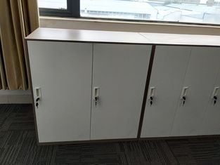 China Office furniture storage clothes two door steel locker for staff gym supplier