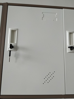 KD structure 12 door metal privacy locker two tone color H1850XW900XD400mm supplier