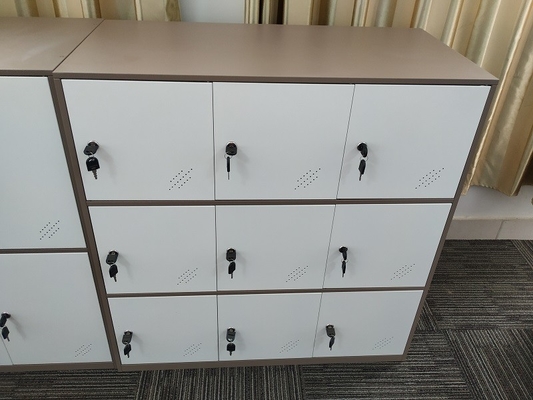 KD structure 9 door metal clothes locker furniture  white coffee color supplier