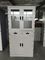 Multi-Functional middle two drawer Office Used Steel Storage Cupboard file Cabinet light gray supplier