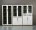 Durable storage cupboard swing open full height file cabinet glass and steel door supplier